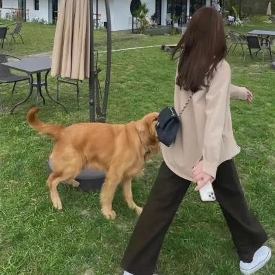 欲女依娃